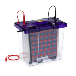 Elektrophoresekammer Vertikal